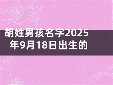 胡姓男孩名字2025年9月18日出生的