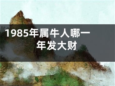 1985年属牛人哪一年发大财