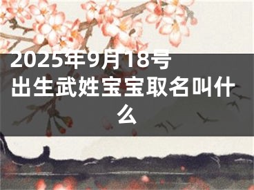 2025年9月18号出生武姓宝宝取名叫什么