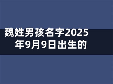 魏姓男孩名字2025年9月9日出生的