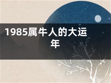 1985属牛人的大运年