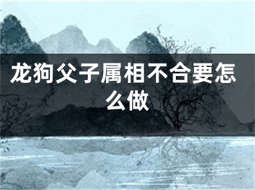龙狗父子属相不合要怎么做