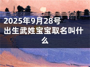 2025年9月28号出生武姓宝宝取名叫什么