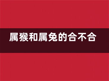属猴和属兔的合不合