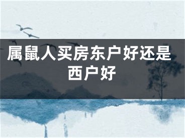属鼠人买房东户好还是西户好