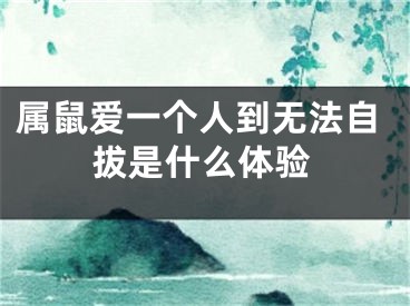属鼠爱一个人到无法自拔是什么体验