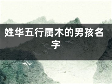 姓华五行属木的男孩名字