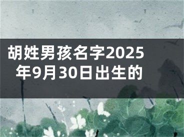 胡姓男孩名字2025年9月30日出生的