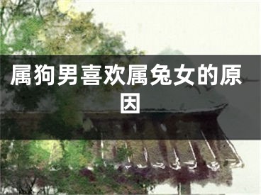 属狗男喜欢属兔女的原因