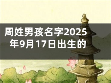 周姓男孩名字2025年9月17日出生的