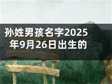 孙姓男孩名字2025年9月26日出生的