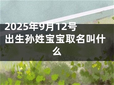 2025年9月12号出生孙姓宝宝取名叫什么