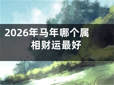 2026年马年哪个属相财运最好