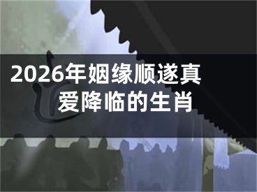 2026年姻缘顺遂真爱降临的生肖