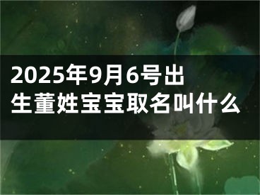 2025年9月6号出生董姓宝宝取名叫什么