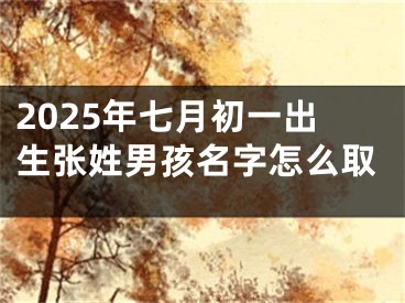 2025年七月初一出生张姓男孩名字怎么取