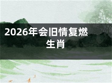 2026年会旧情复燃生肖