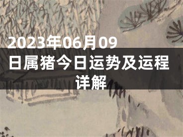 2023年06月09日属猪今日运势及运程详解