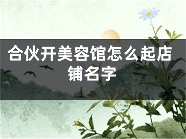 合伙开美容馆怎么起店铺名字
