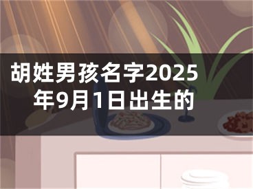 胡姓男孩名字2025年9月1日出生的