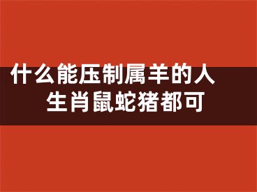 什么能压制属羊的人 生肖鼠蛇猪都可