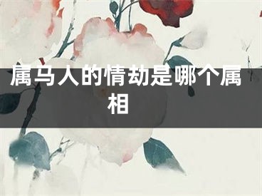 属马人的情劫是哪个属相 