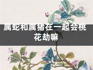 属蛇和属猪在一起会桃花劫嘛