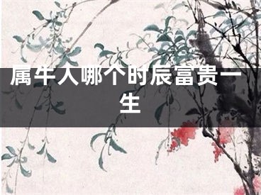 属牛人哪个时辰富贵一生
