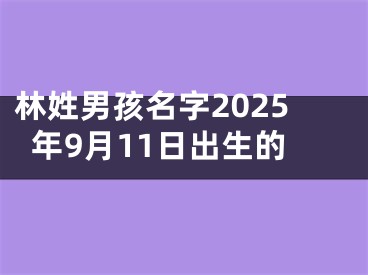林姓男孩名字2025年9月11日出生的