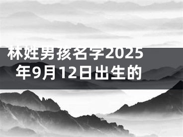 林姓男孩名字2025年9月12日出生的