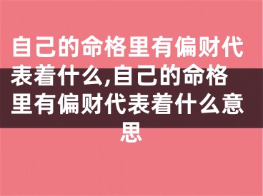 自己的命格里有偏财代表着什么,自己的命格里有偏财代表着什么意思
