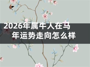 2026年属牛人在马年运势走向怎么样