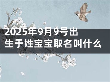 2025年9月9号出生于姓宝宝取名叫什么