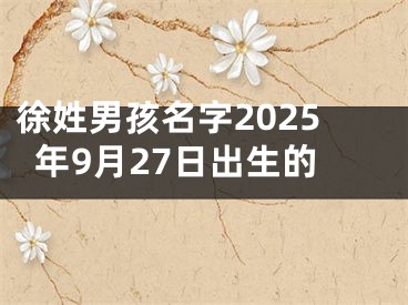 徐姓男孩名字2025年9月27日出生的