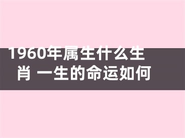 1960年属生什么生肖 一生的命运如何