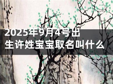 2025年9月4号出生许姓宝宝取名叫什么