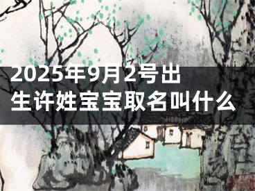 2025年9月2号出生许姓宝宝取名叫什么