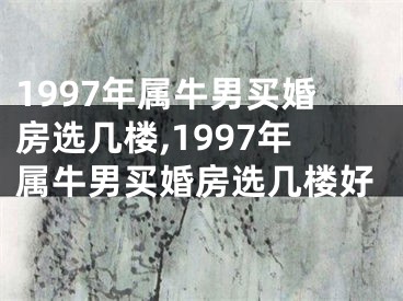 1997年属牛男买婚房选几楼,1997年属牛男买婚房选几楼好
