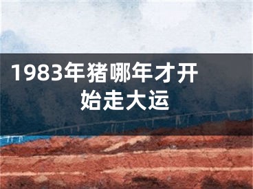 1983年猪哪年才开始走大运