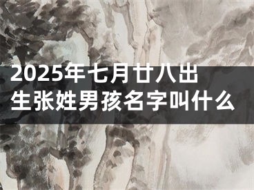 2025年七月廿八出生张姓男孩名字叫什么