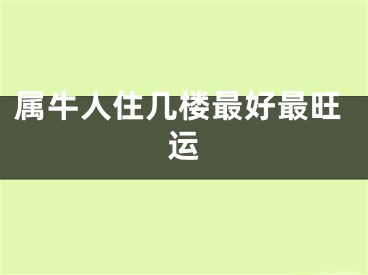属牛人住几楼最好最旺运