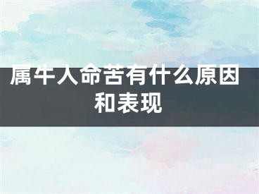 属牛人命苦有什么原因和表现