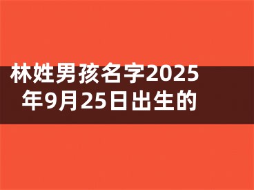 林姓男孩名字2025年9月25日出生的