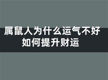 属鼠人为什么运气不好 如何提升财运