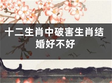 十二生肖中破害生肖结婚好不好