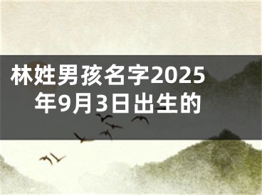 林姓男孩名字2025年9月3日出生的