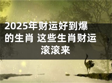 2025年财运好到爆的生肖 这些生肖财运滚滚来