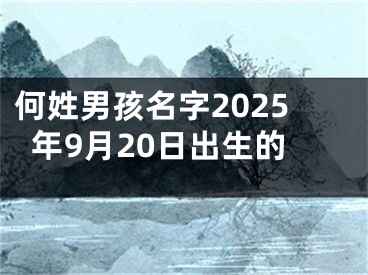 何姓男孩名字2025年9月20日出生的