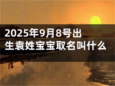 2025年9月8号出生袁姓宝宝取名叫什么