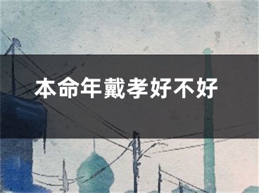 本命年戴孝好不好